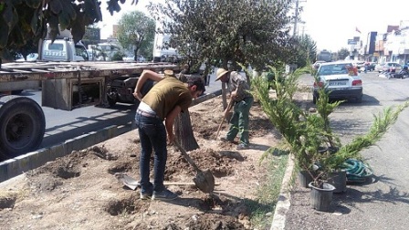 کاشت گل و گیاه درفضای سبز بلوار کندرو شاتره