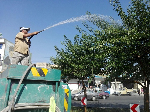 آماده سازی بلوار بسیج جهت سمپاشی و مبارزه با آفت سفید بالک