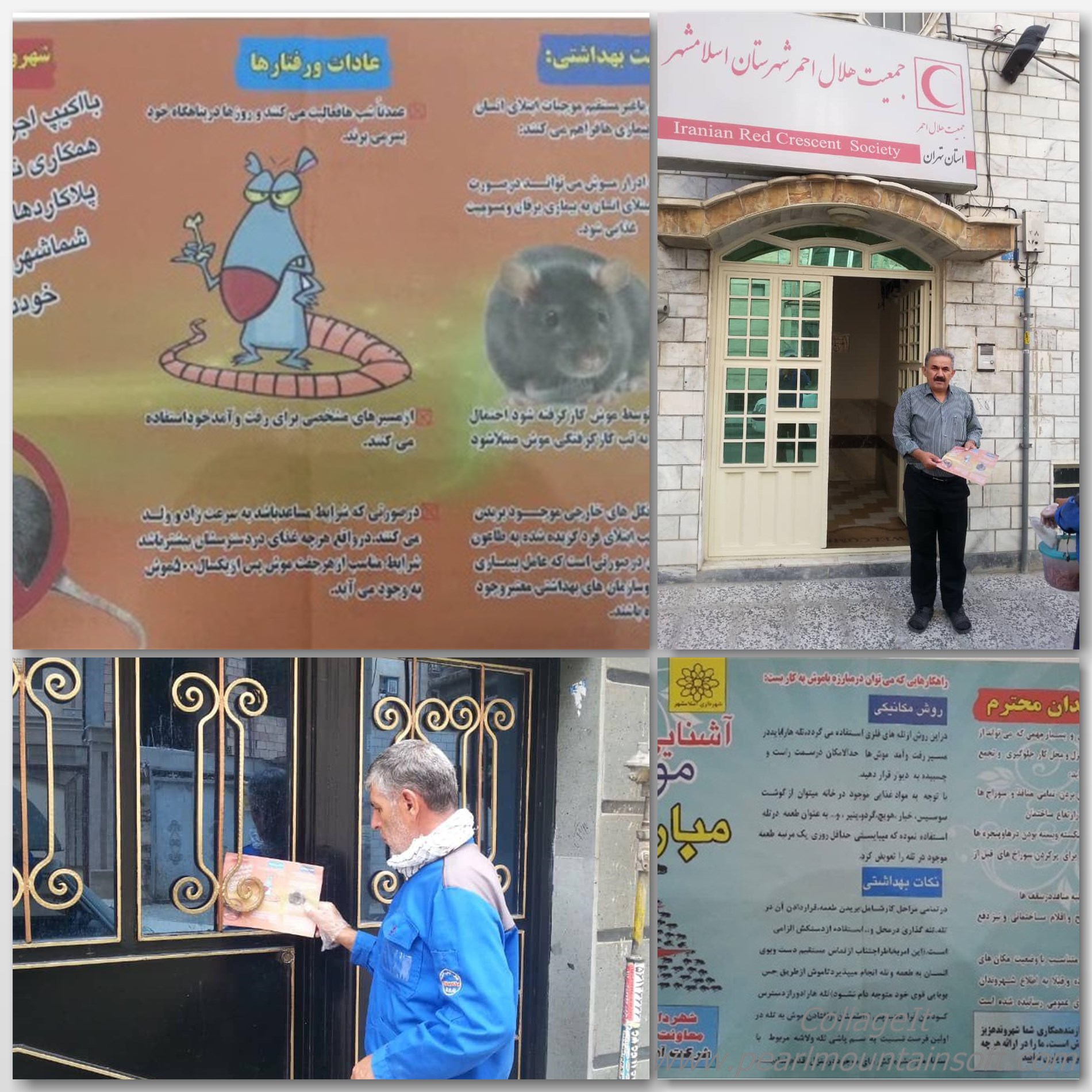 انجام عملیات سمپاشی با ارائه آموزشهای شهروندی در منطقه شش اسلامشهر