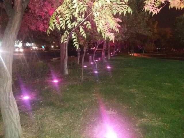 نورپردازی بوستان توحید اسلامشهر