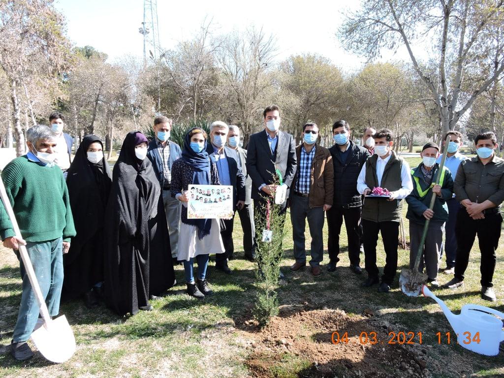 کاشت و توزیع نهال به مناسبت روز درختکاری در بوستان توحید
