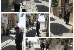 زیر سازی  و آسفالت کوچه شمشاد 30 در شهرداری  منطقه شش