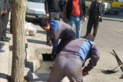 اجرای عملیات دال گذاری انهار خیابان شامی در شهرک امام حسین