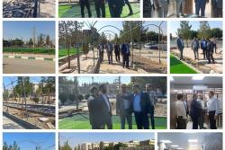 بازدید اعضای شورای اسلامی شهر اسلامشهر از پروژه‌های عمرانی سطح منطقه سه