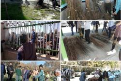 اهداء نهال رایگان به شهروندان اسلامشهری