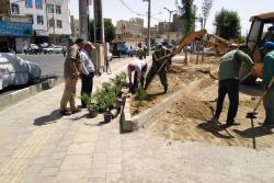 خاکریزی و کاشت گل و گیاه در پیاده راه خیابان ابو ترابی (سنگبری) انتهای مهدیه