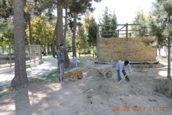 عملیات احداث سرویس بهداشتی در بوستان توحید (منطقه یک ) آغاز شد